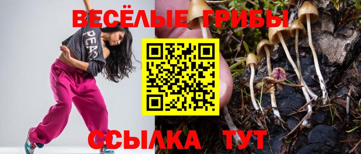 Галлюциногенные грибы Cubensis Губаха