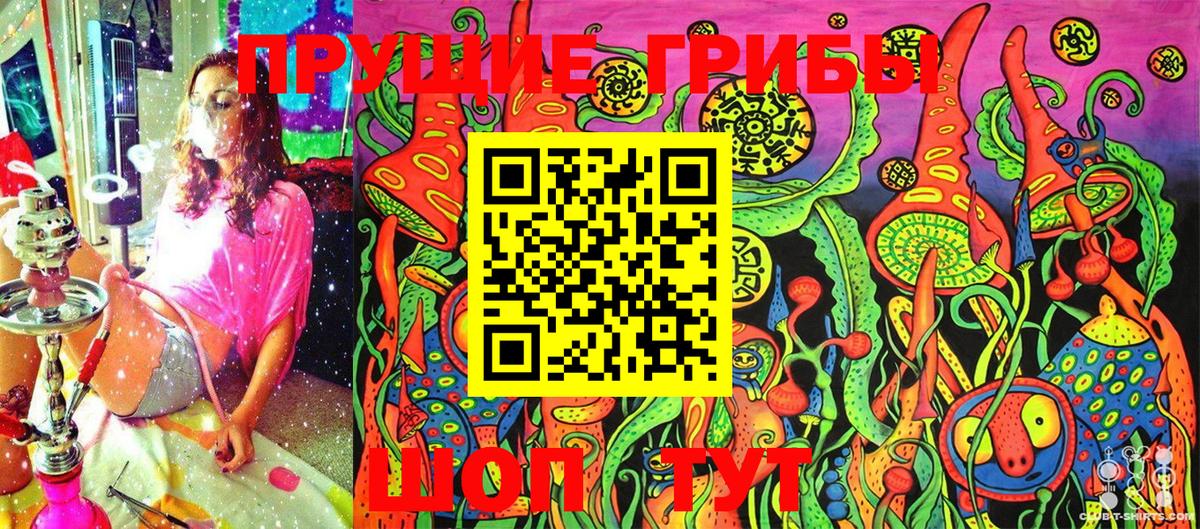 Губаха  Галлюциногенные грибы Cubensis  Вход с VPN  Псилоцибиновые грибы Psilocybine cubensis 